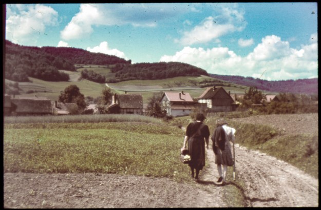 alter-feldweg-unterhalb-des-walperbuhls